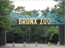 Bronx Zoo entrance